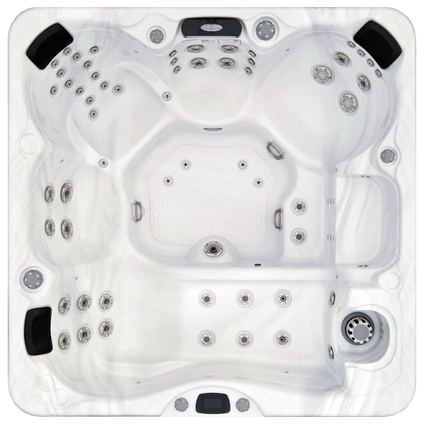 Avalon-X EC-867LX hot tubs for sale in Turin
