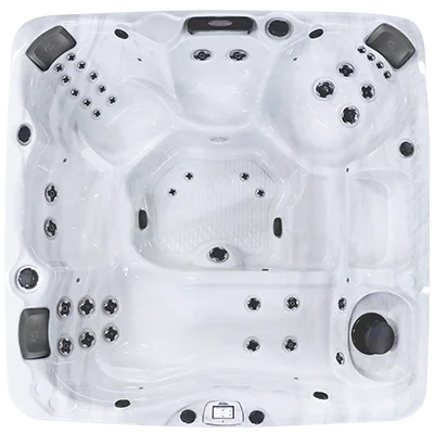 Avalon-X EC-840LX hot tubs for sale in 