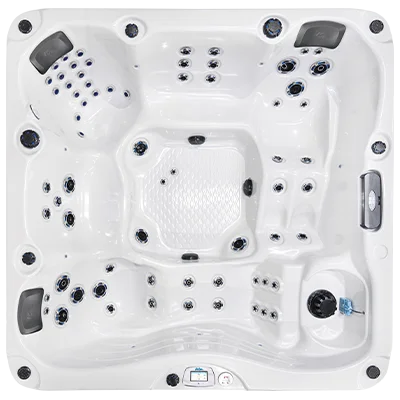 Malibu-X EC-867DLX hot tubs for sale in 